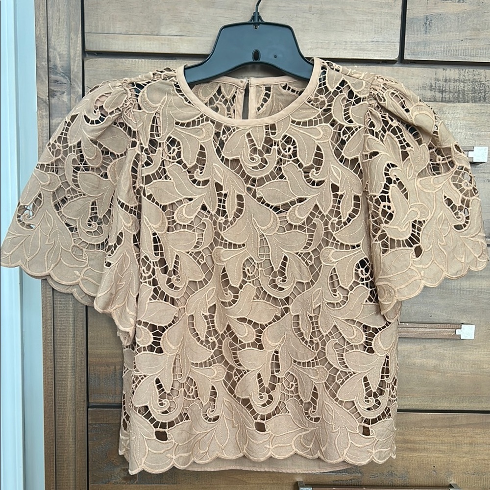 Elegant Lace Beige Top